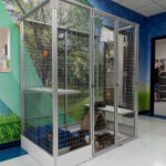 New wall art & cages at Mon County Canine adoption center